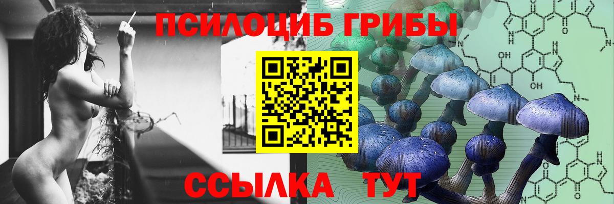 Псилоцибиновые грибы ЛСД Шебекино